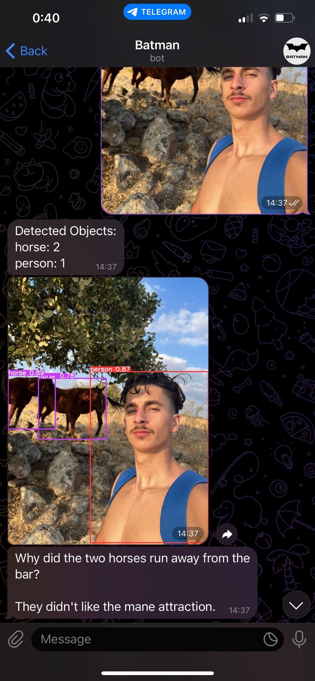 Object Detection Bot